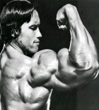 arnold3.jpg