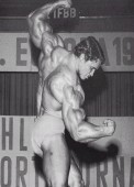 arnold5.jpg